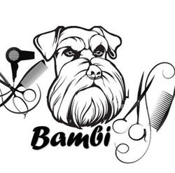Bambi Toelettatura, Torino orari di apertura
