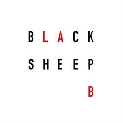 BLACKSHEEPLAB, Senigallia orari di apertura
