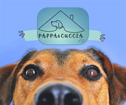 Pappa & Cuccia - Pensione per cani, Borgo d'Ale orari di apertura