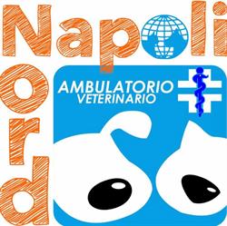 Ambulatorio Veterinario Napoli Nord, Giugliano in Campania orari di apertura