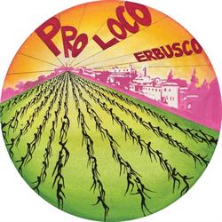 Pro Loco Erbusco, orari di apertura