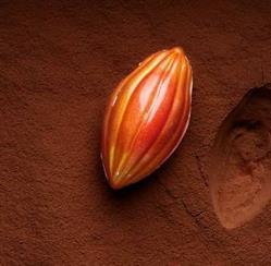 Cioccolatcafè De Rosa, Bacoli orari di apertura