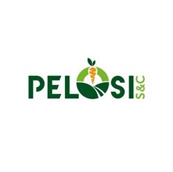Pelosi S&C Srl, Guamo orari di apertura