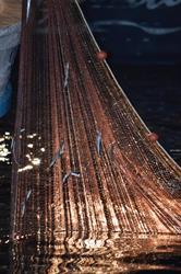 Pescheria Peppenella Ristorante di Mare, Marina di Camerota orari di apertura