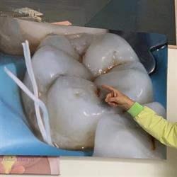 Studio Dentistico Dr. Franco Perugini, Sinalunga orari di apertura