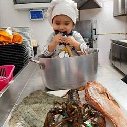 La Movida dei Pescatori, Trieste orari di apertura
