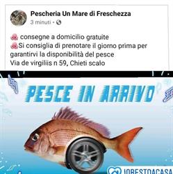 Pescheria Un Mare di Freschezza, Chieti orari di apertura