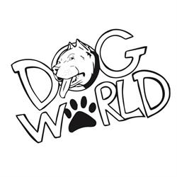 Dog World - Negozio per animali, Mondragone orari di apertura