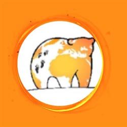 Bari-Palese I Viaggi dell' Orso, orari di apertura