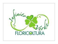 Floricoltura Infinito Verde, Marano Ticino orari di apertura