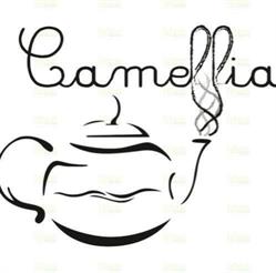 Camellia, Riccione orari di apertura