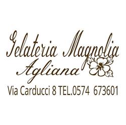 Gelateria Magnolia, Agliana orari di apertura