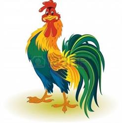 IL Gallo Agriturismo, Massa orari di apertura