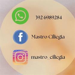 Mastro Ciliegia LUCCA, Lucca orari di apertura