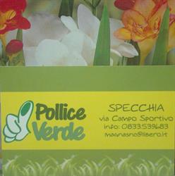 Pollice Verde, Specchia orari di apertura