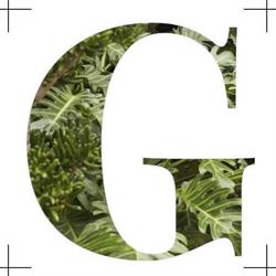 Green - MLA selection, Carate Brianza orari di apertura