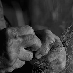 Cooperativa tra pescatori Stella del Lago, Panicarola orari di apertura