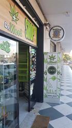 Dr.Weed GrowShop, Santa Maria Capua Vetere orari di apertura