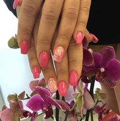 Estetica MD, Pomezia orari di apertura