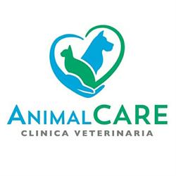 Clinica Veterinaria Animal Care dott.ssa Serena Aquilio, L'Aquila orari di apertura
