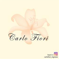 Carlo Fiori, Ariano Irpino orari di apertura