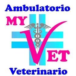 Ambulatorio Veterinario MyVet, Marzabotto orari di apertura
