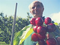 Azienda Agricola Ghisiliera di Rimondi Daniele, Zola Predosa orari di apertura