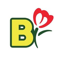 Blooms Italia, Bologna orari di apertura