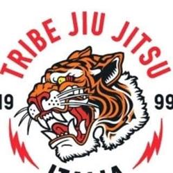 Tribe jiu jitsu Ladispoli, orari di apertura