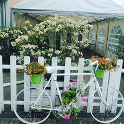 Caffè La Bicicletta, Giaveno orari di apertura
