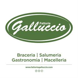 Fattoria Galluccio, Santi Cosma e Damiano orari di apertura