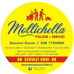 Mollichella Pulizie e Servizi di Giovanni Coscia, Montemarano orari di apertura