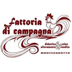 Fattoria di campagna, Montecarotto orari di apertura