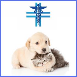 Ambulatorio Veterinario Dott. Salvatore Taronna, Manfredonia orari di apertura