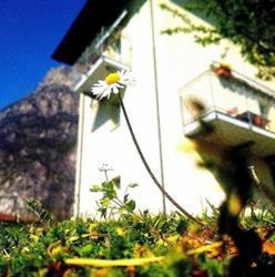 I Gemelli della Val Codera Casa vacanze, Novate Mezzola orari di apertura