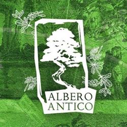 Albero Antico Bonsai Roma, orari di apertura