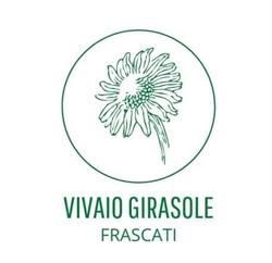 Vivaio Girasole, Frascati orari di apertura