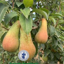 Ortolecco, Civate orari di apertura