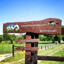 Il Mondo Naturale del Cavallo ASD, Varallo Pombia orari di apertura