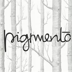Pigmento, Grottaferrata orari di apertura