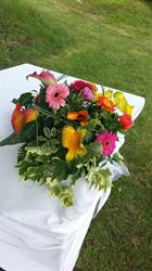 I Fiori di Elisa, Casale Monferrato orari di apertura