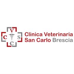 Clinica Veterinaria San Carlo, Brescia orari di apertura