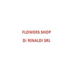 Flower'S Shop, Morcone orari di apertura