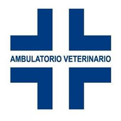 Ambulatorio Veterinario Comacchio, Porto Garibaldi - Orari di apertura