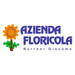 Azienda Floricola Burroni Giacomo piante e fiori Versilia, Querceta orari di apertura