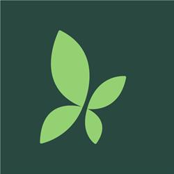 BioRinascita Alimenti e Cosmesi Bio - Erboristeria, Conselve orari di apertura