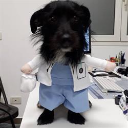 VET for PET Ambulatorio Veterinario, Baricella orari di apertura