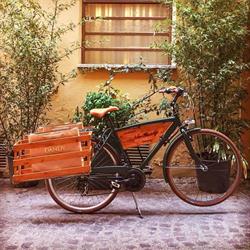 New Dandy Sartoria Bologna, orari di apertura