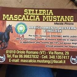 Selleria Mascalcia Mustang, Oriolo Romano orari di apertura