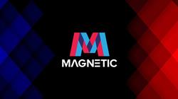 Magnetic, Cinquefrondi orari di apertura